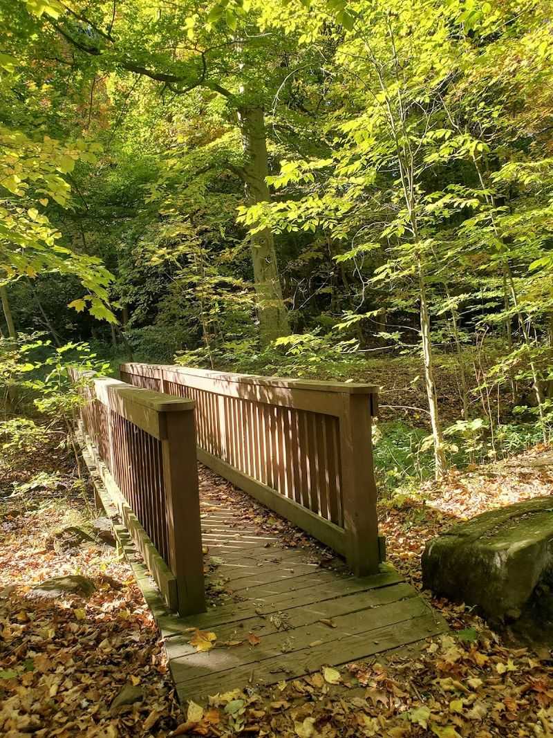 Trail Options for Every Comfort Level