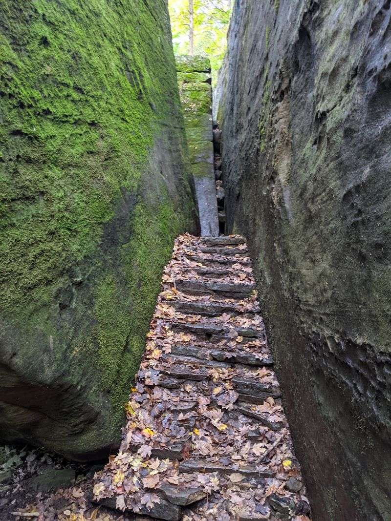Sandstone, Ravines, and Erosion Explain the Park’s Shape