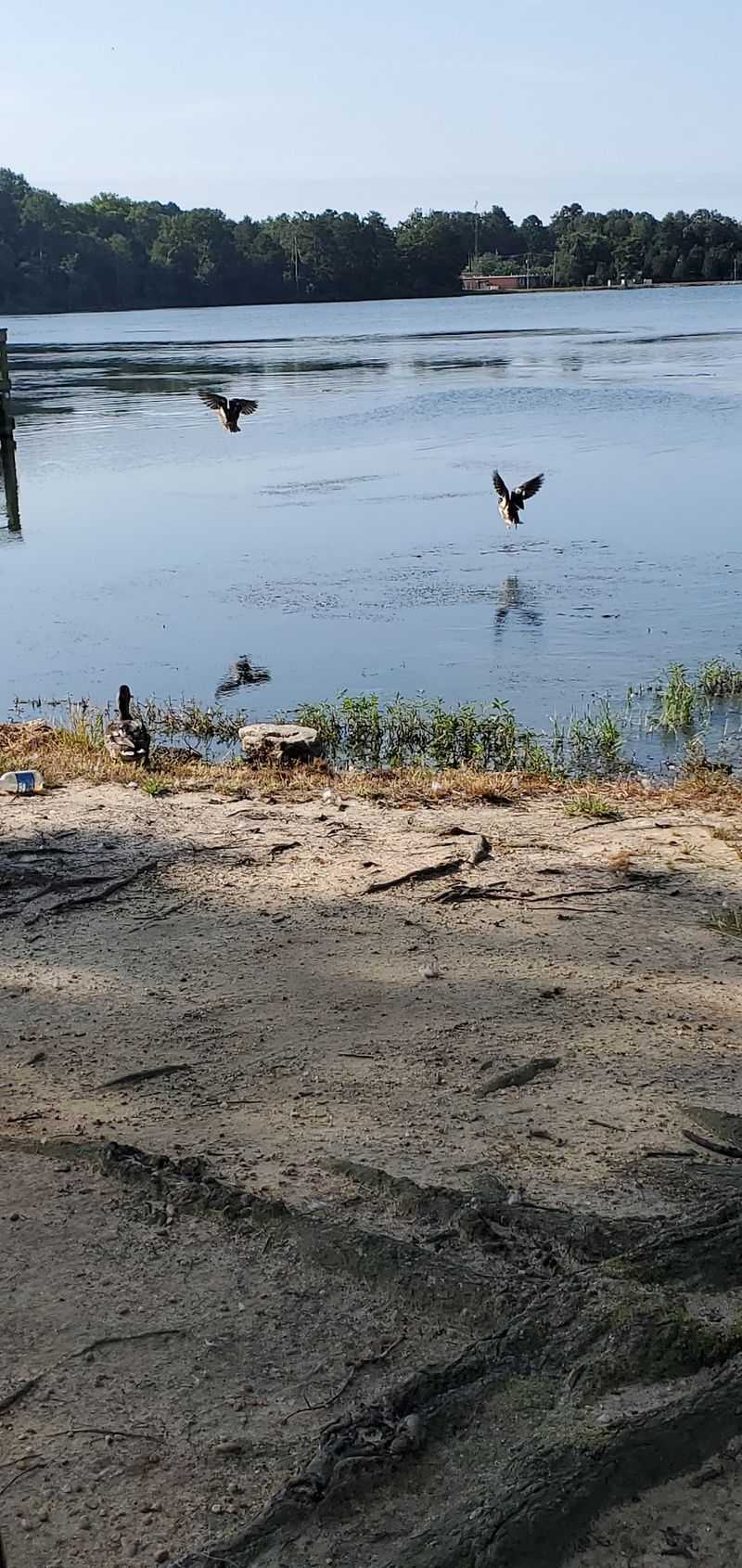 Sandy Beaches Without An Ocean In Sight