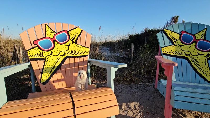 Sandy Harbor Water Park Thrills