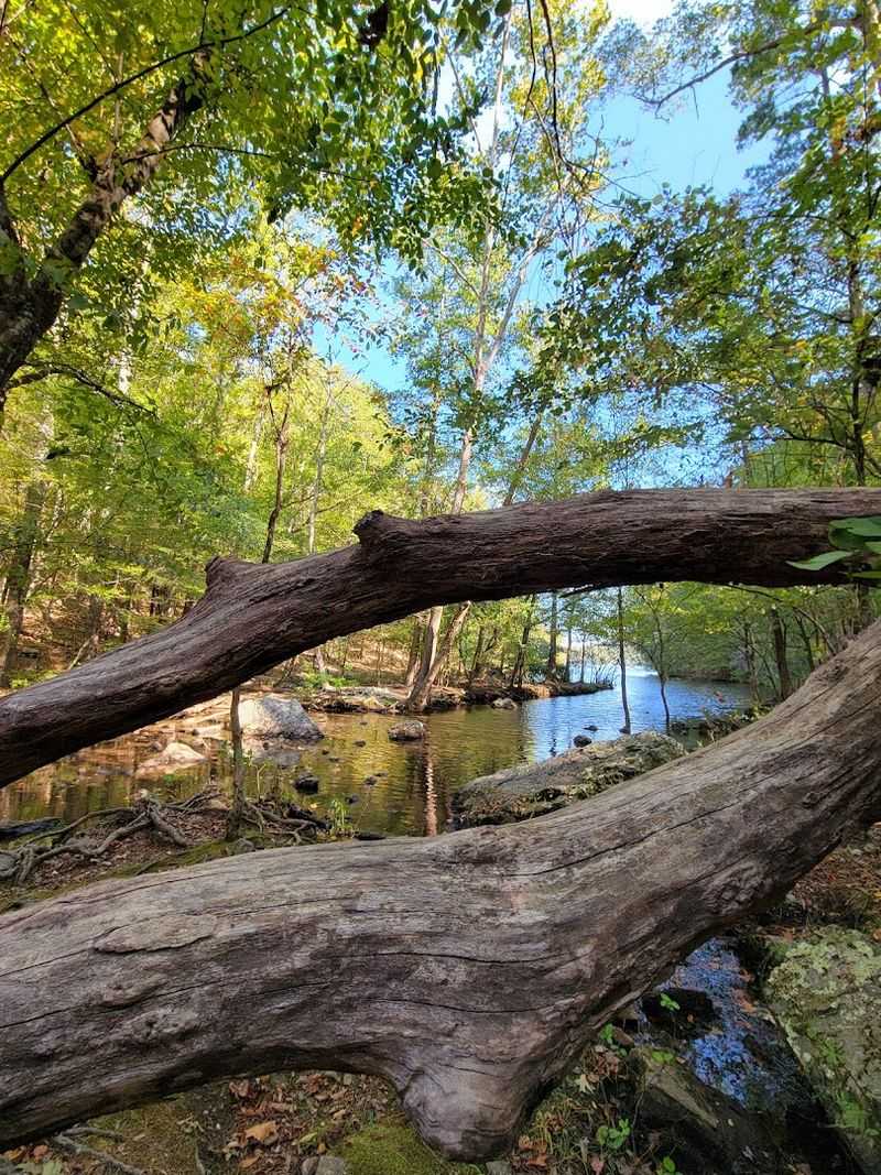 Quiet Waterfront Campsites Steps From The Water