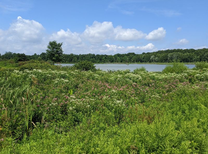 Sandy Ridge Reservation, North Ridgeville