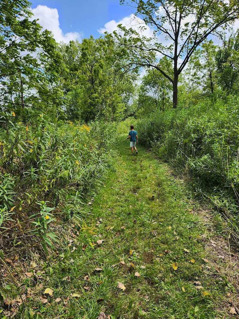 Over 300 Native Plant Species
