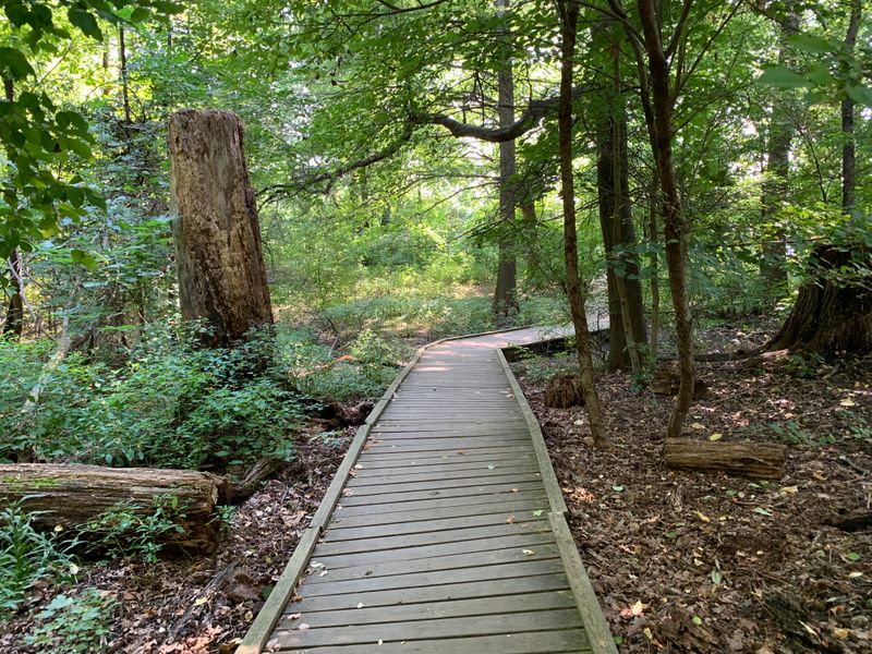 Peaceful Trails Wind Through Native Landscapes