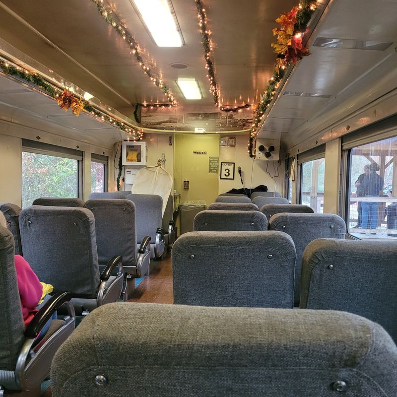 Copperhill Special – Full-Day Hiwassee Gorge Excursion, Delano