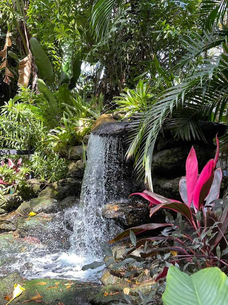 A Butterfly Garden That Brings The Garden To Life