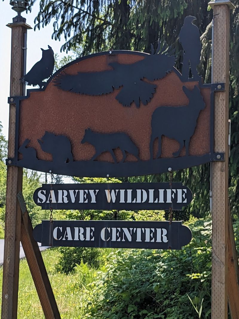 Sarvey Wildlife Care Center