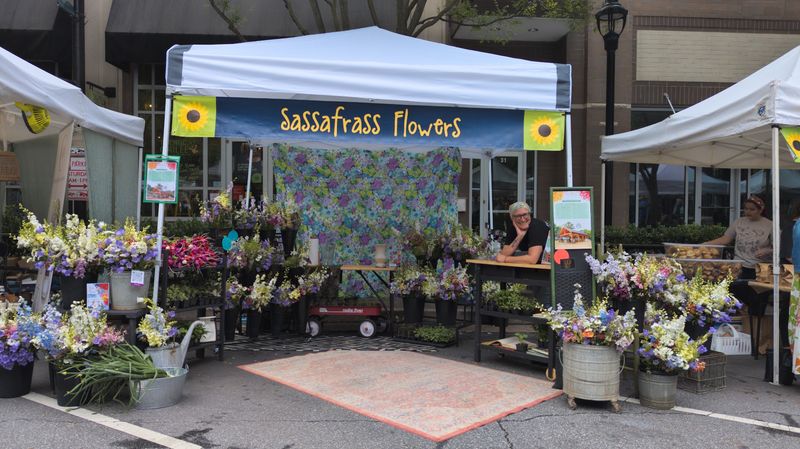 Sassafrass Flowers Are Sold at Local Upstate Stores Too Sassafrass Flowers Are Sold at Local Upstate Stores Too