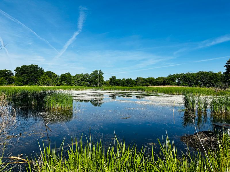 Prairie Pathways And Forest Preserves Nearby