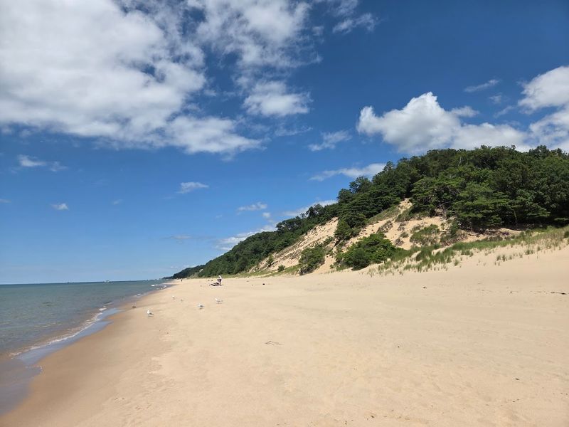 Saugatuck Dune Beach