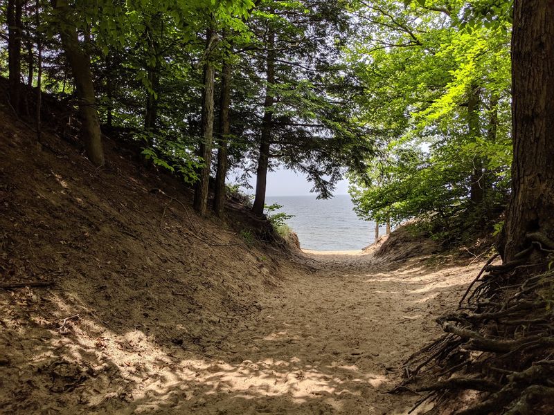Saugatuck Dunes State Park - Allegan County