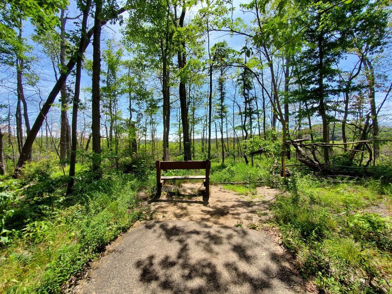Grand Mere State Park, Stevensville