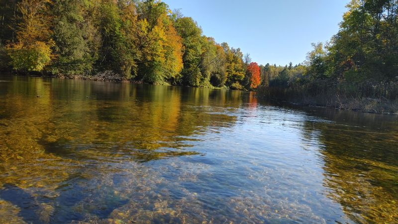 Au Sable River, Grayling