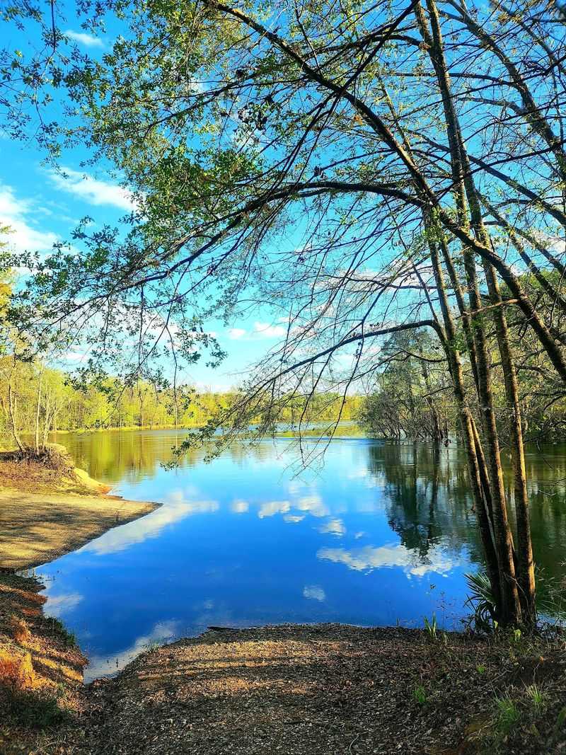 Savannah River Scenic Byway Savannah River Scenic Byway