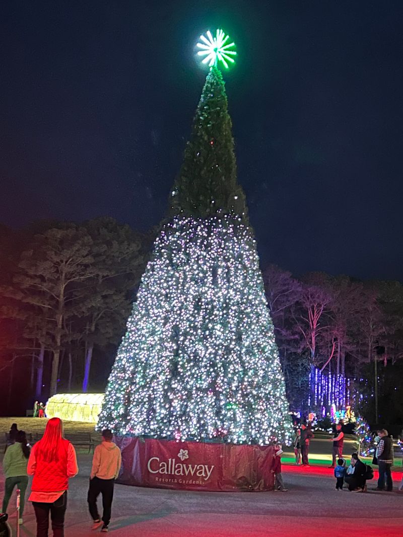 Pine Mountain — Fantasy in Lights (Callaway Resort & Gardens), 17800 US-27, Pine Mountain