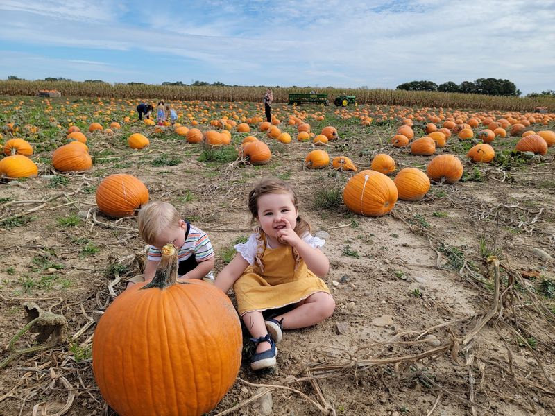 Save Autumn Activities Early