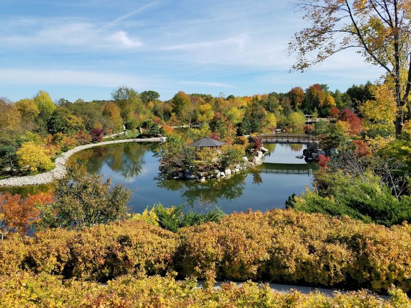 Save Real Time For The Japanese Garden