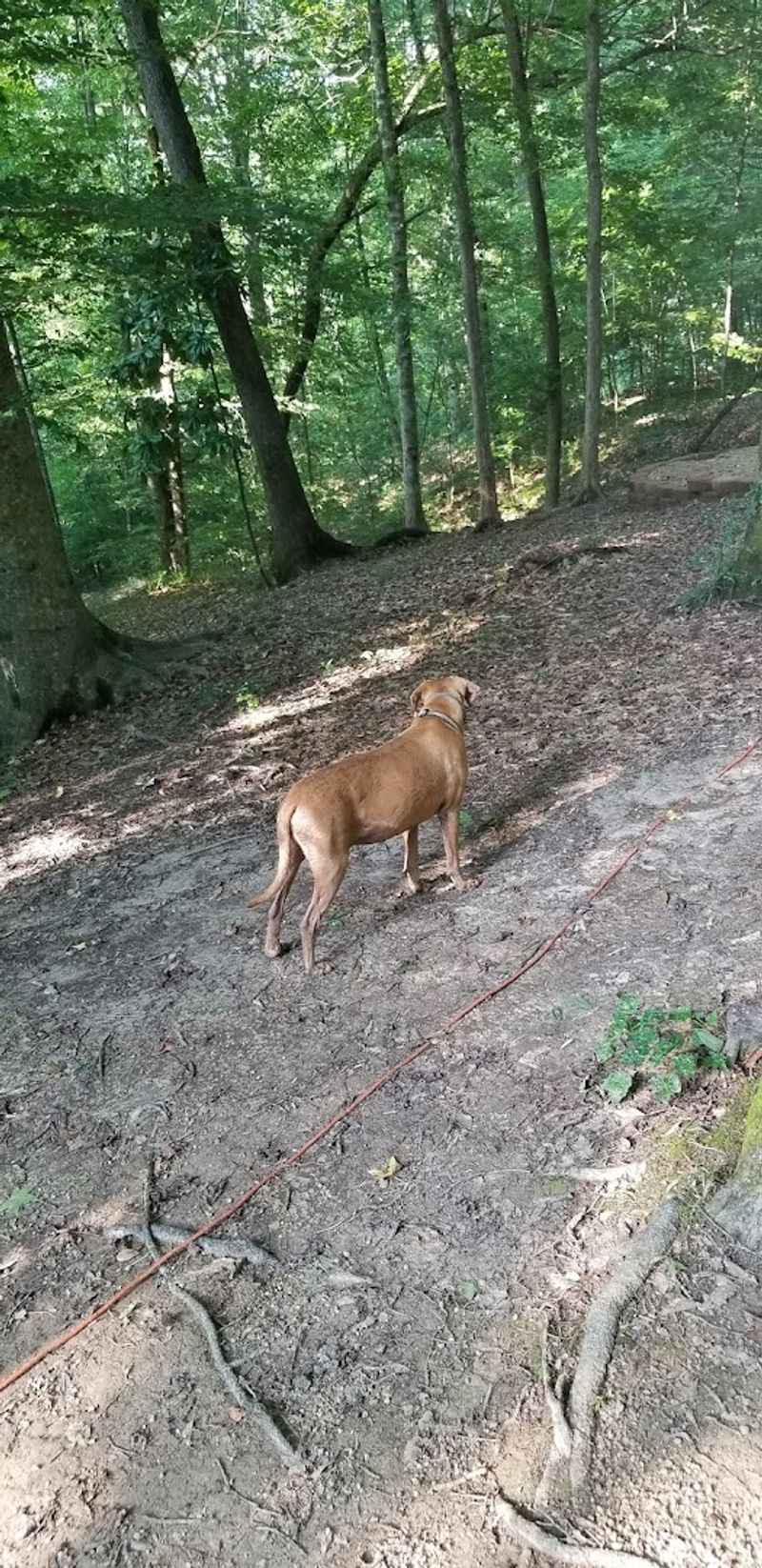 Save Real Time For Tunica Hills