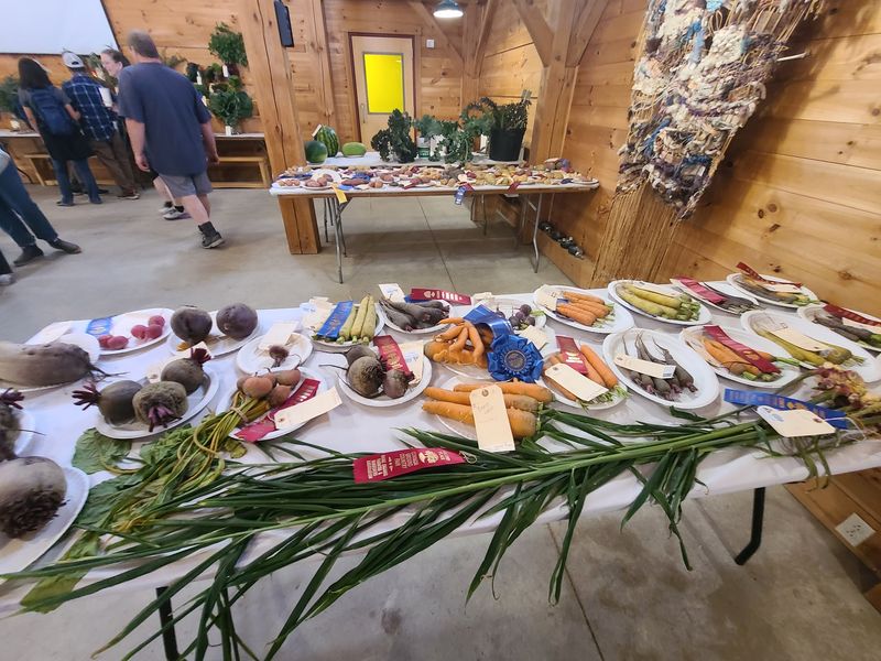Save Room For Cheese, Hot Dogs, And A Tree To Take Home
