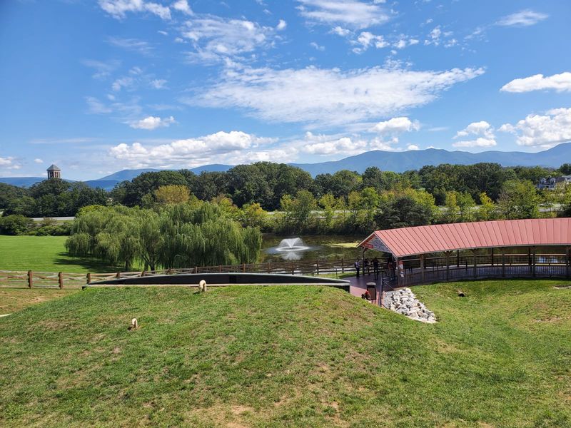Save Room In Your Plans For Skyline Drive