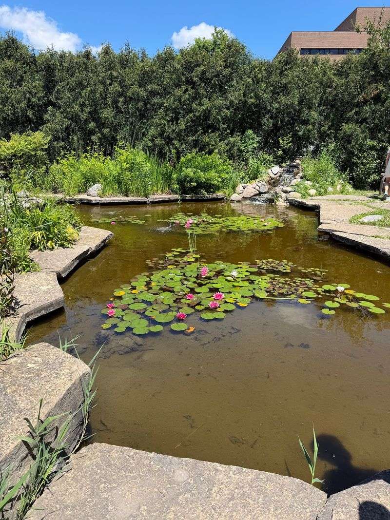 Save Time For Ponds And Wildlife