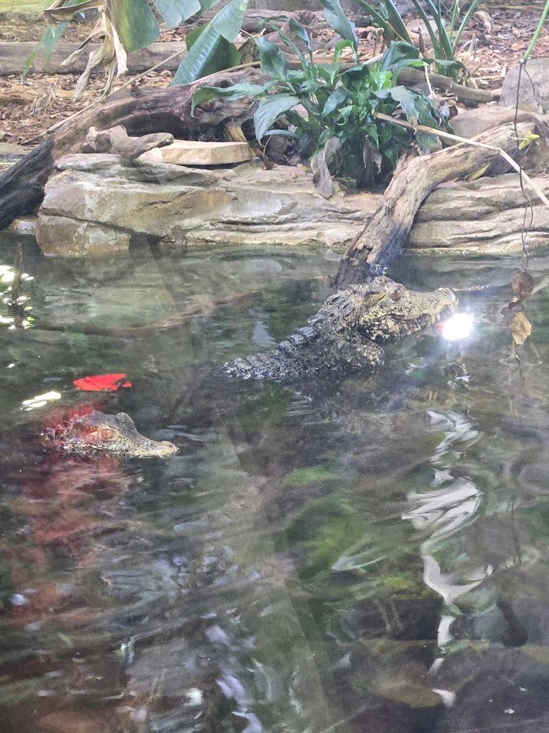 Practice Patient Watching At Each Habitat
