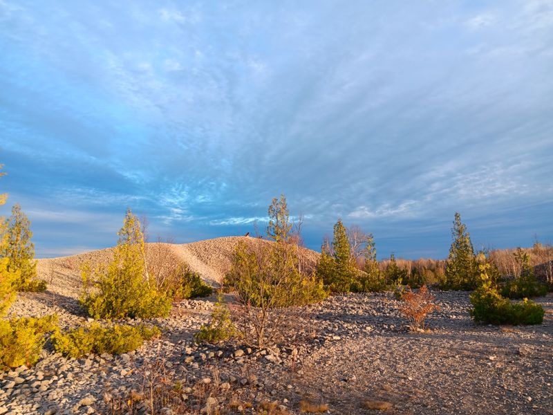 Try A Fossil Sorting Ritual