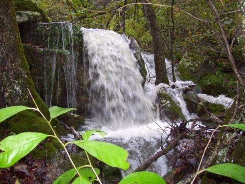Follow The Porch Routine At Dawn And Dusk