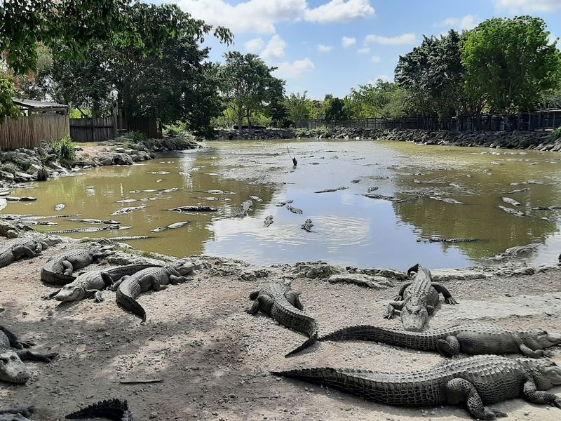 Wildlife Encounters Around Every Curve
