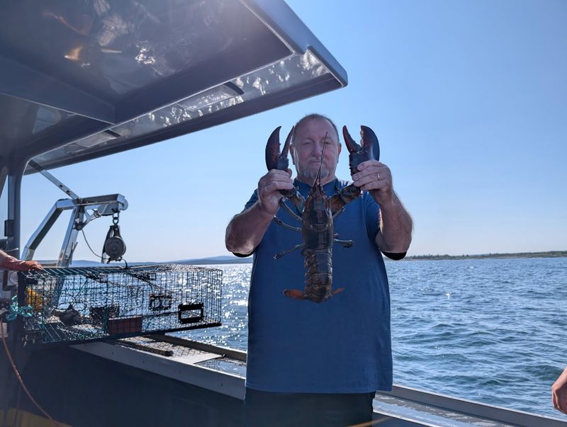 Say Ayuh To A Lobster Boat Tour