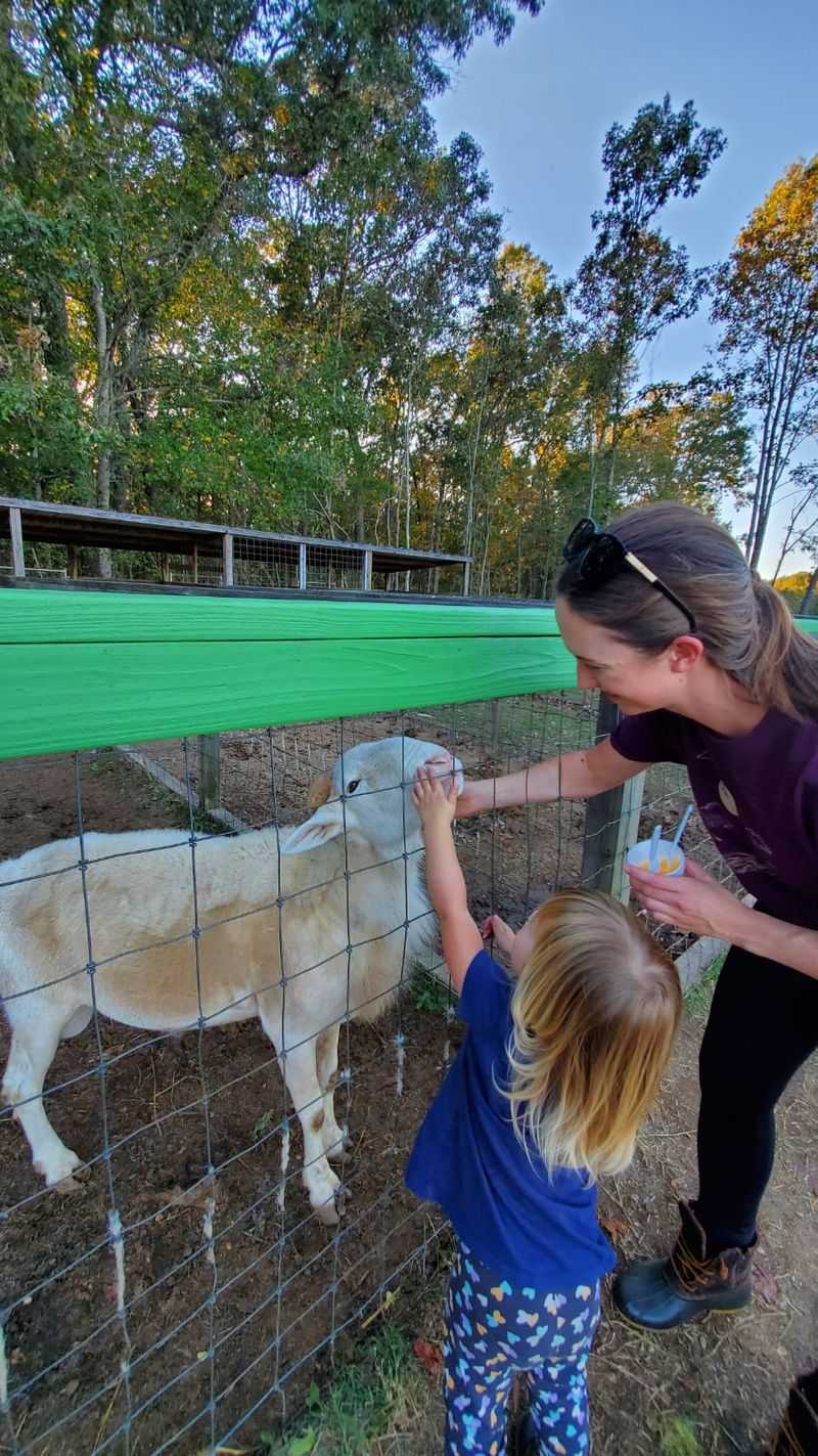 Say Hi To The Goats, And Bring Your Hay Hand