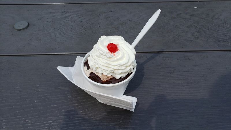 Try The Turtle And Hot Apple Delights