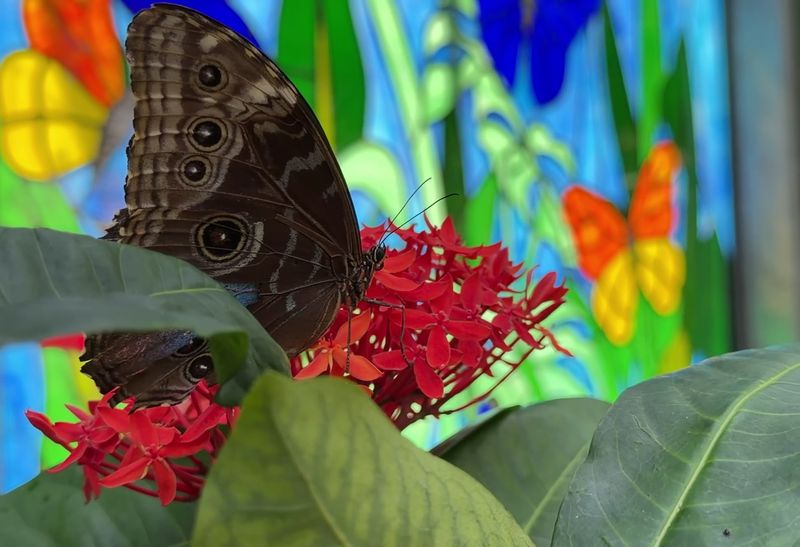 Scales, Croaks, and Buzzing Pollinators