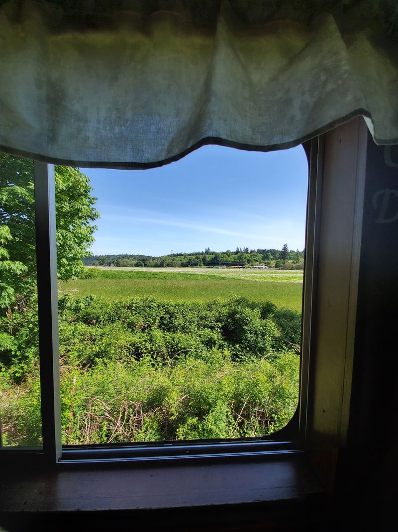 Scenery Along The Chehalis River