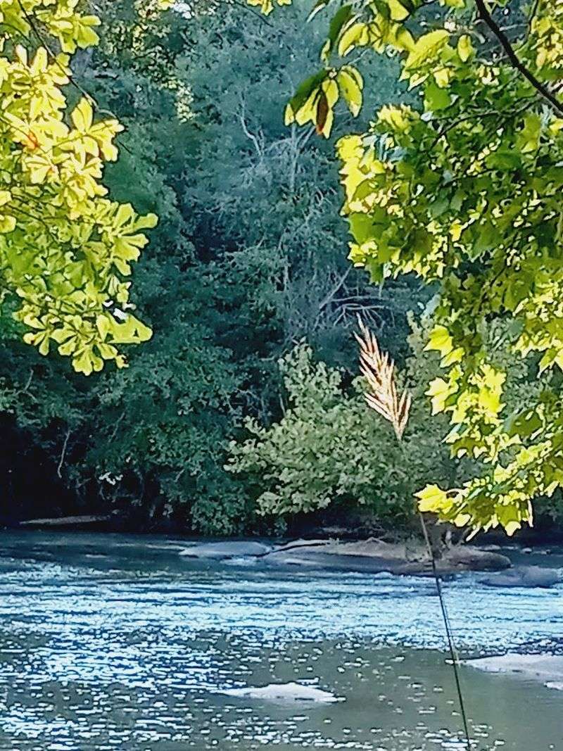 Scenic Beauty Along the Banks Is Genuinely Stunning