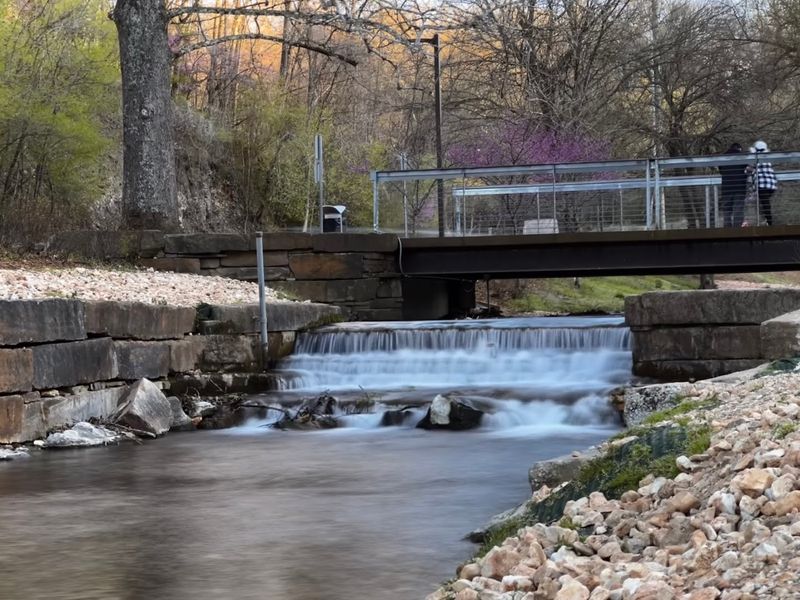 Scenic Bridges Through The Greenery