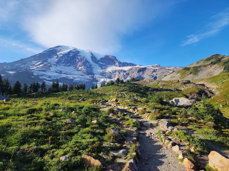 Scenic Day At Mount Rainier National Park