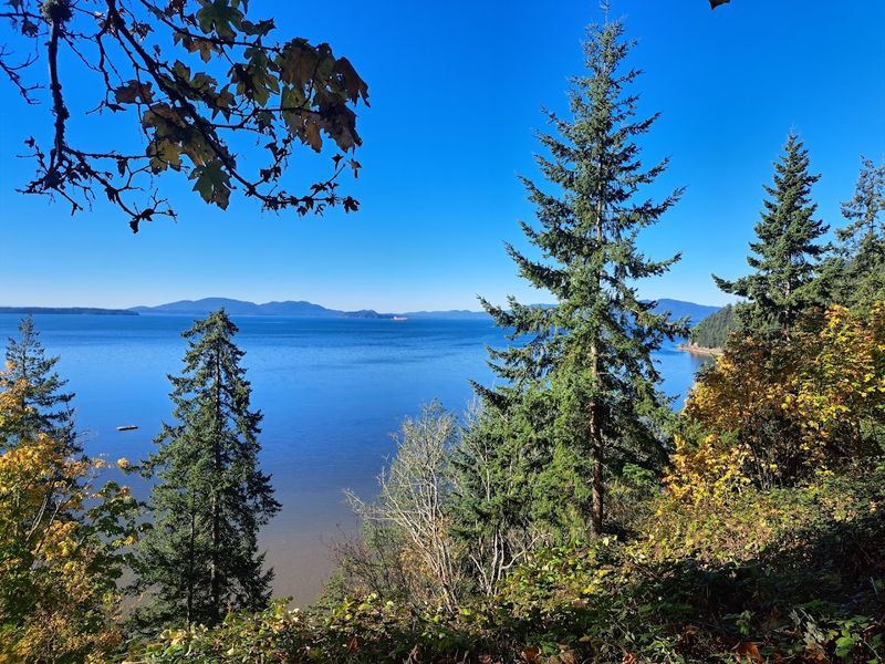 Scenic Drive Along Chuckanut Drive