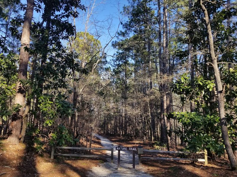 Scenic Drives Through Pine-Covered Countryside Scenic Drives Through Pine-Covered Countryside
