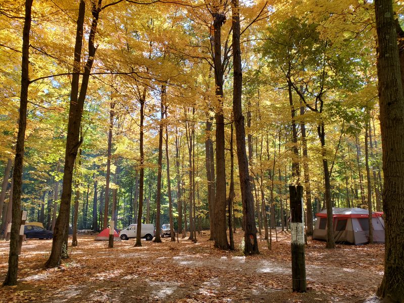 Camping Under the Stars