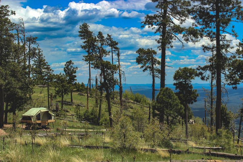 Wildlife Watching Opportunities