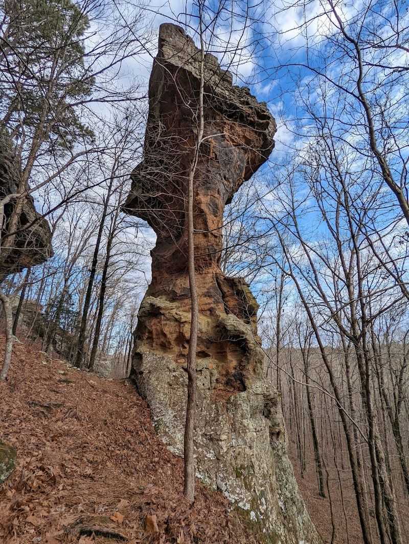 The Quiet Beauty Of Moss Sandstone And Deep Woodland Shade