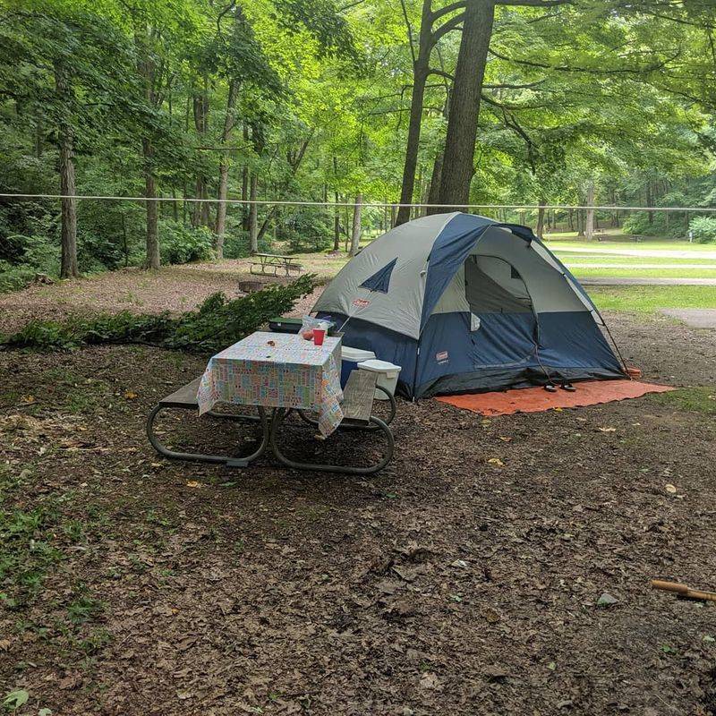 Unplugged Escape from Modern Life