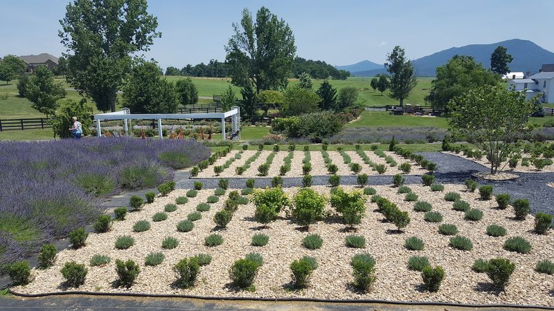Scenic Seating Areas That Make Staying Longer Feel Necessary