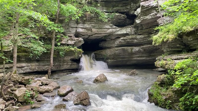 Wildlife And Nature Add To The Outdoor Experience