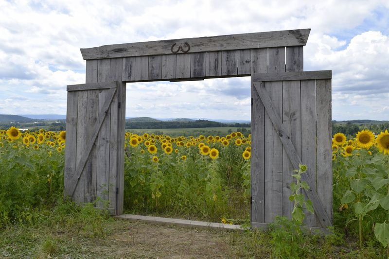Photo Opportunities Are Thoughtfully Set Up Throughout the Property