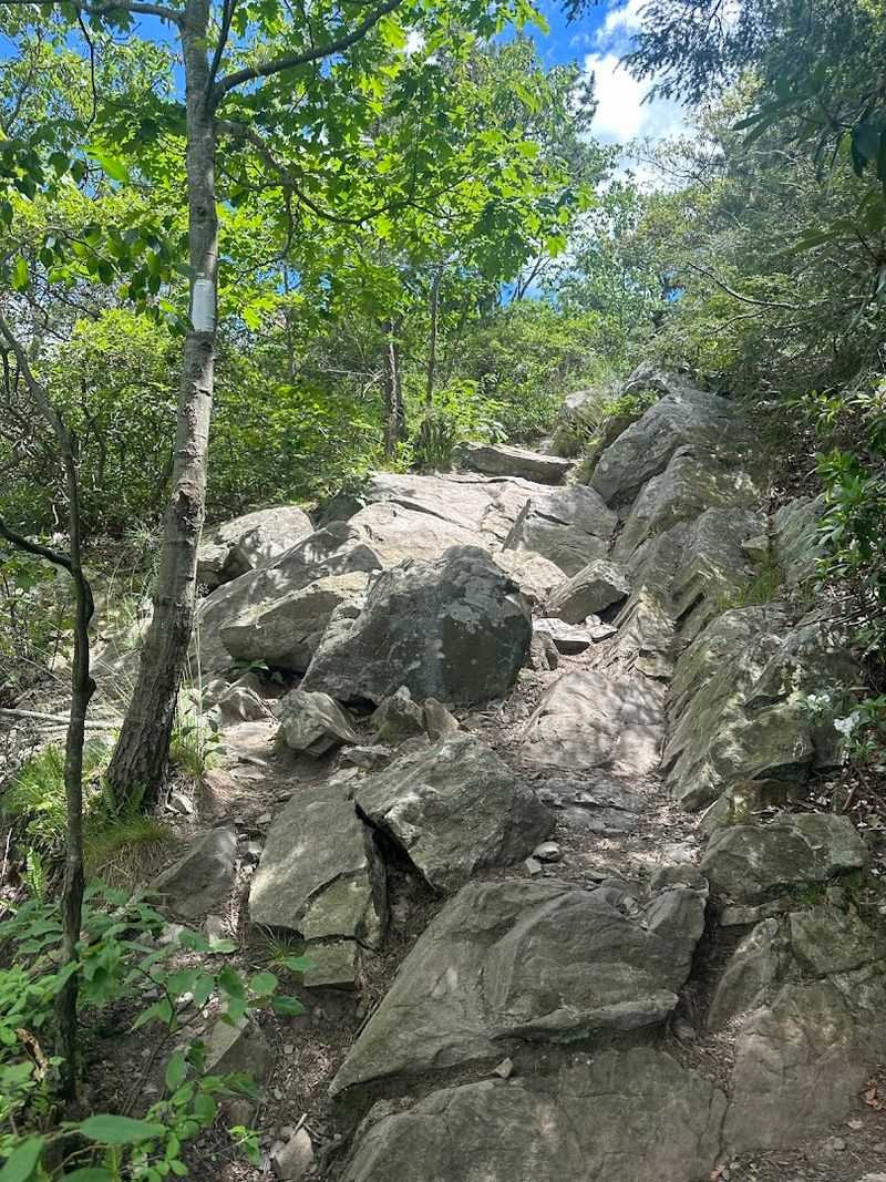 Appalachian Trail to Mount Minsi, Delaware Water Gap, Pennsylvania
