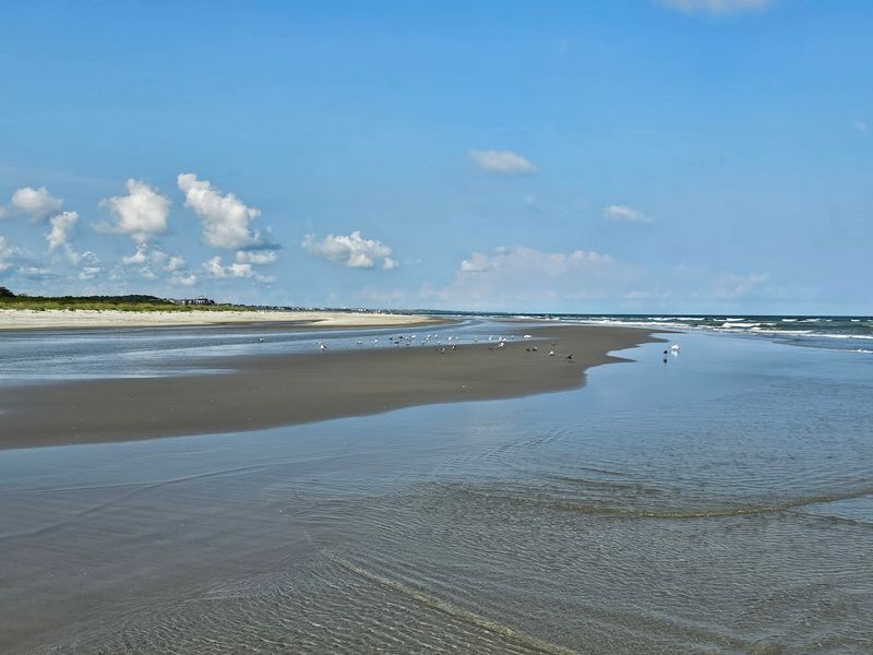 Scenic Walks Reveal Hidden Coastal Details