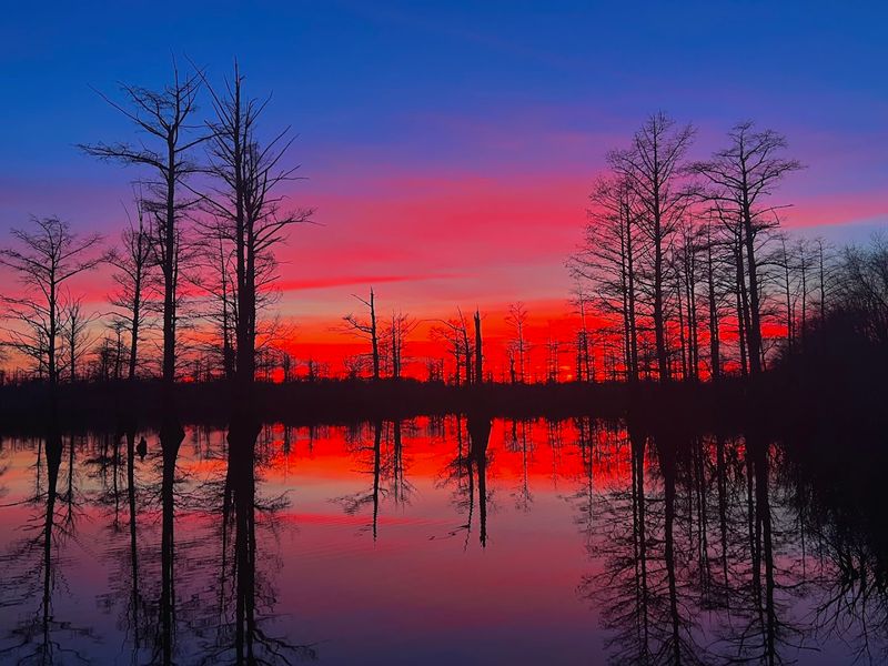 Scenic photography and roadside surprise Scenic photography and roadside surprise