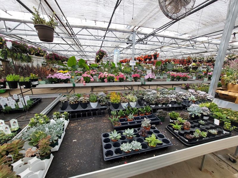 Schaefer Greenhouses, Montgomery Schaefer Greenhouses, Montgomery